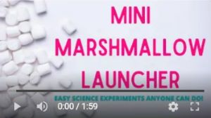 Mini Marshmallow Launcher - Science Fun